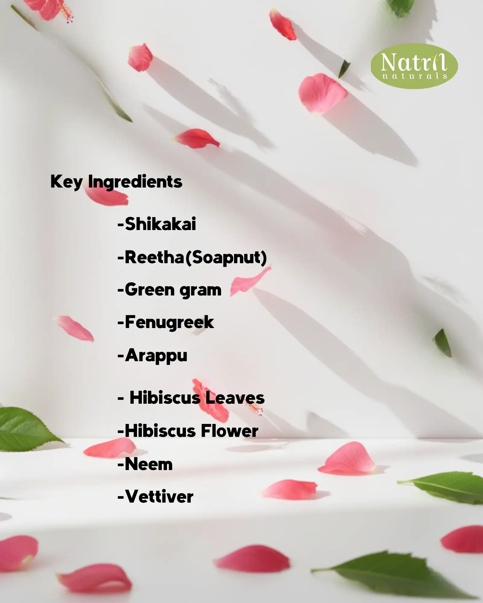 HAIR WASH POWDER(100 g) - image 2