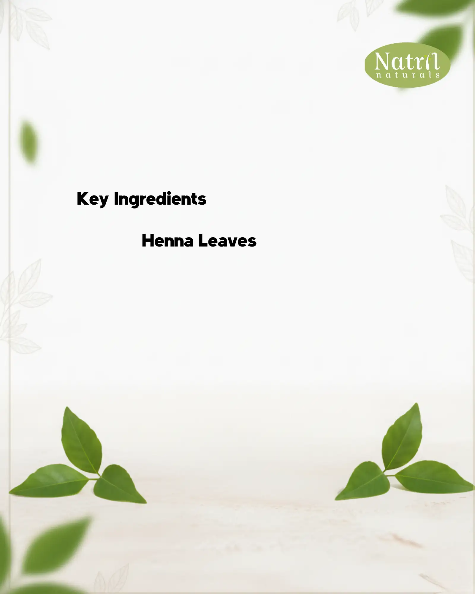 PURE HENNA POWDER(100 g) - image 2